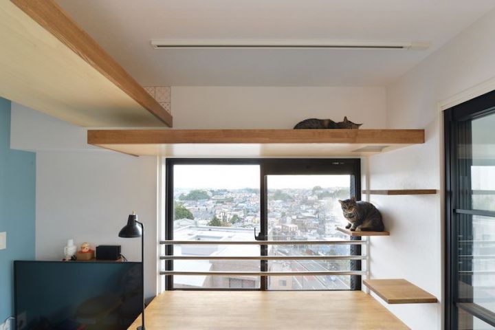 vol.54【リノベ|インタビュー】猫と私がくつろげる、出窓コーナー「陽だまりスペース」のある家